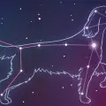 “The Dog Days Are Here”