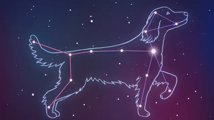canis-major-