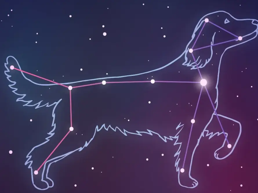 canis-major-